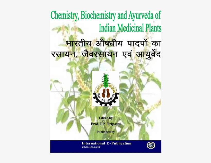 Pdf - Mahatma Gandhi Chitrakoot Gramoday Vishwavidyalaya, transparent png download