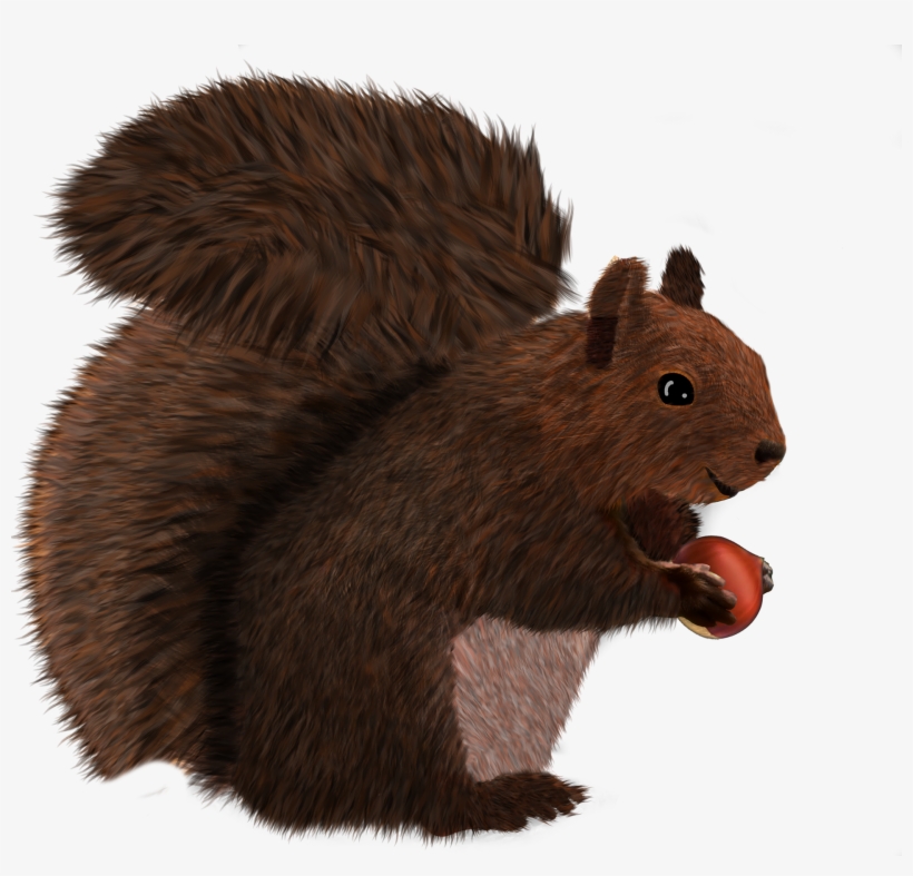 2018 Making Strides Team T-shirt & Flyer Design - Fox Squirrel, transparent png download