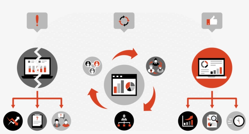 Groups Of End Users Were Then Trained By Experienced - Circle, transparent png download