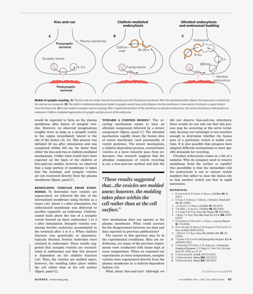 Goose Tower In Vordingborg, Zealand, transparent png download