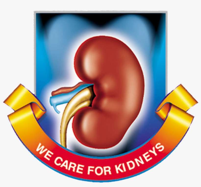 B T Savani Kidney Hospital - Graphic Design, transparent png download