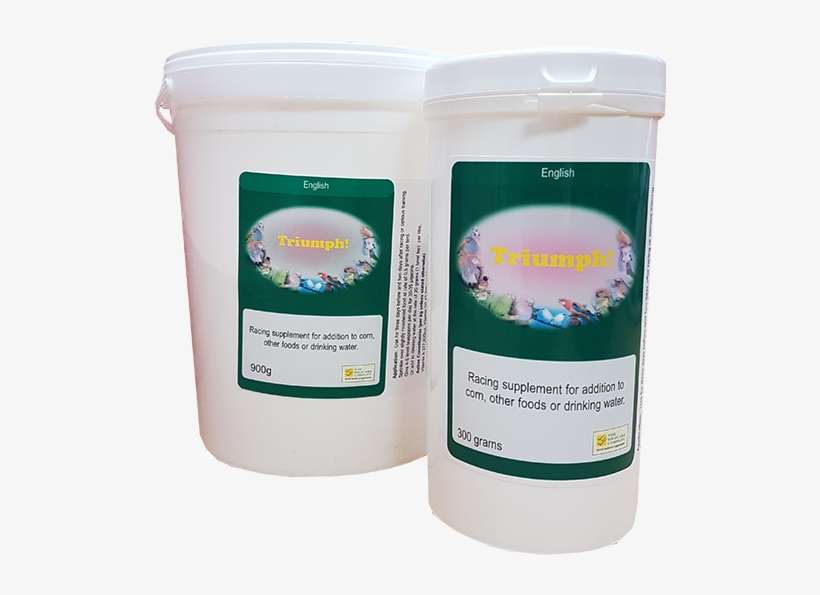 Loading Zoom - Pigeon Racing, transparent png download