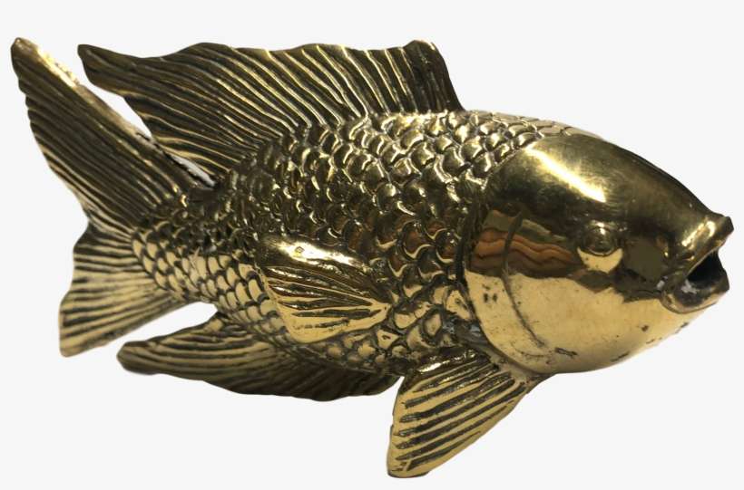 Golden Koi Fish - Carp, transparent png download
