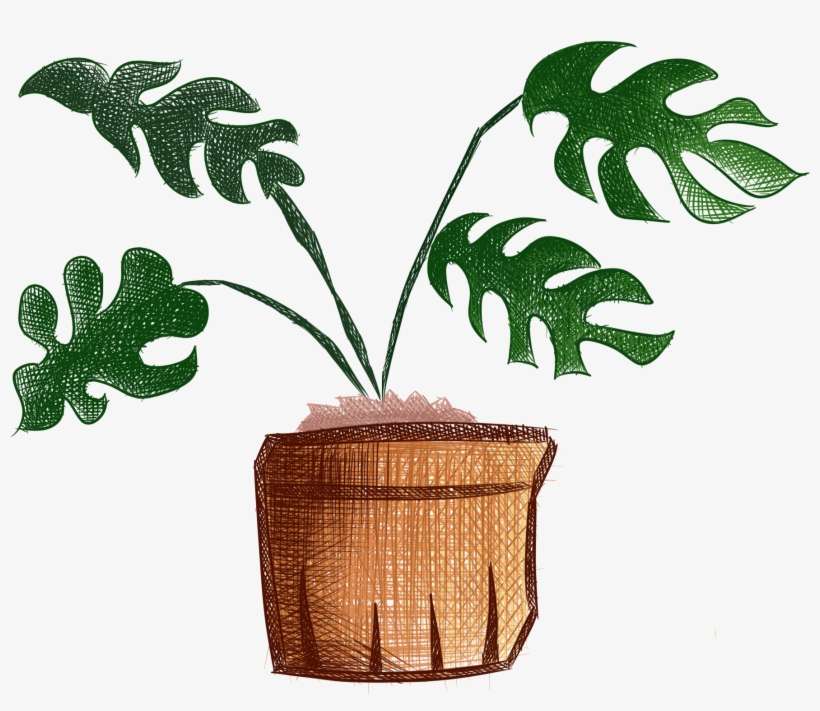 Hand Painted Plants Flowers Fresh Potted Png And Psd - Houseplant, transparent png download