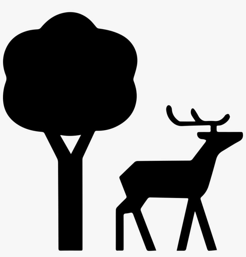 Nature Clipart Nature Reserve - Nature Icon For Instagram Highlights, transparent png download