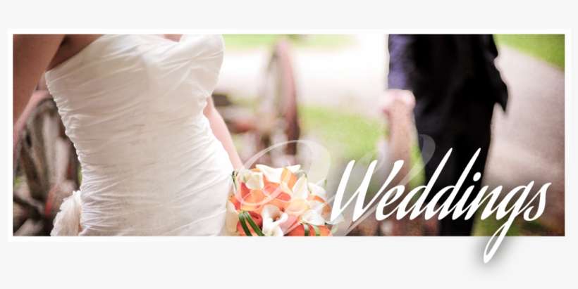 Wedding Portfolio Wedding Portfolio - Bouquet, transparent png download