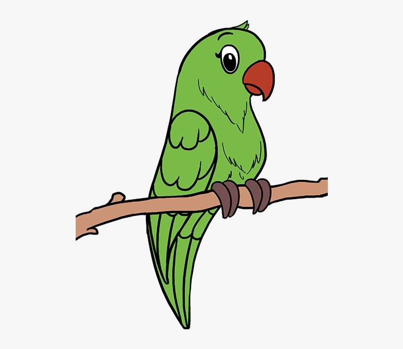 680 X 678 3 - Easy Drawings Of Parrot, transparent png download
