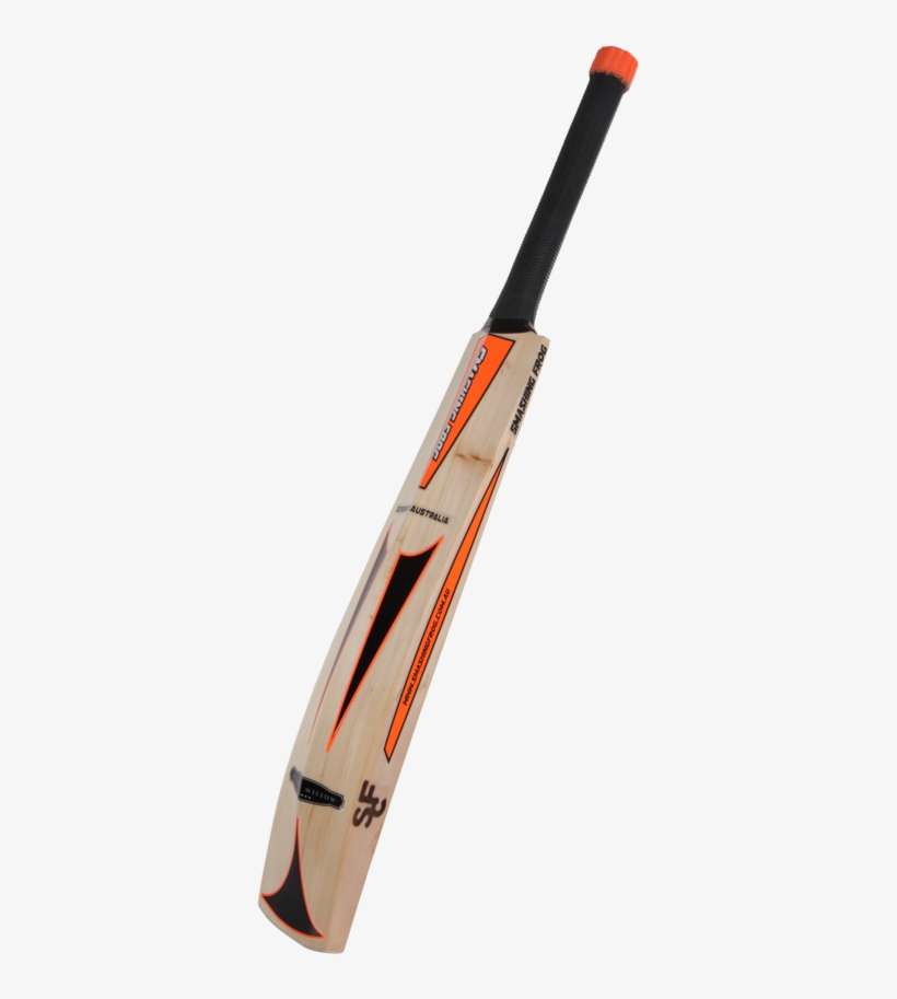 Previous - Cricket, transparent png download