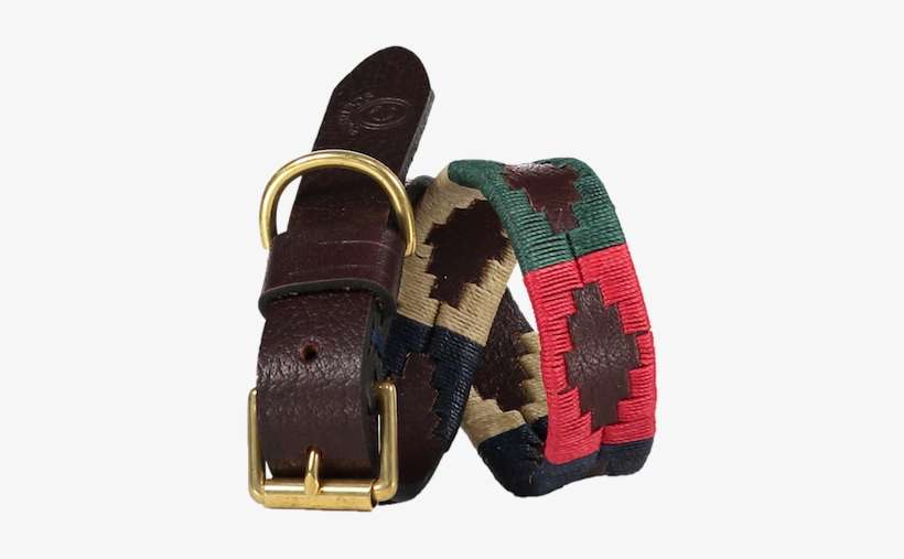 Estribos Dog Collars, transparent png download