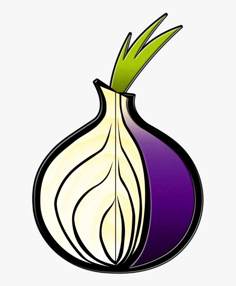 Tor Onions Anonymous Tue Nov 15 - Tor Browser Icon Png, transparent png download