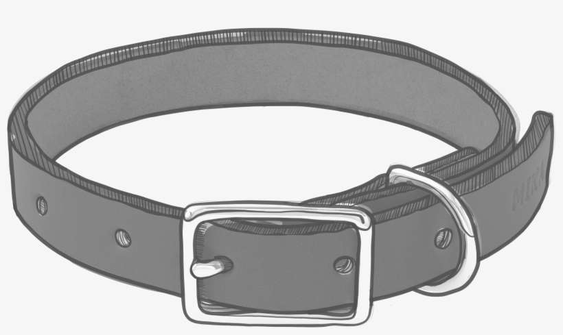 Canine - Belt, transparent png download