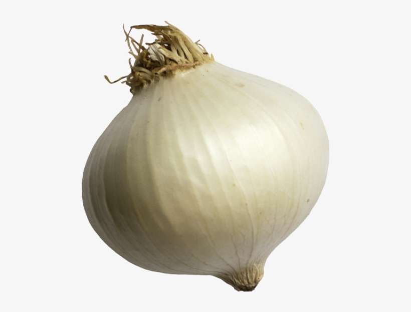 Onion - Garlic, transparent png download