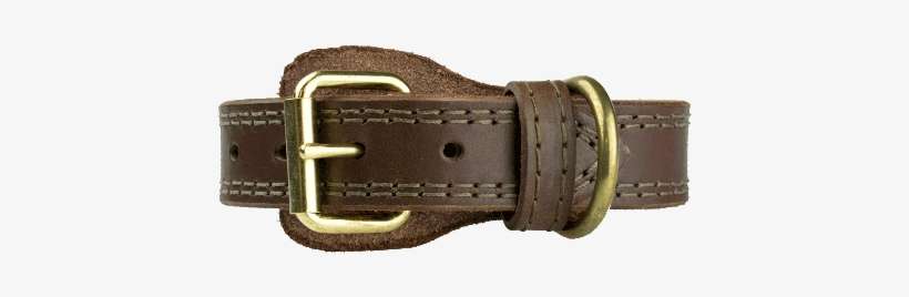 Crossbreed® Holsters K 9 Collar Brown With Brass Hardware - Buckle, transparent png download