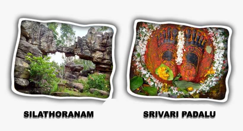 Tirupati Travels - Natural Arch, Tirumala Hills, transparent png download