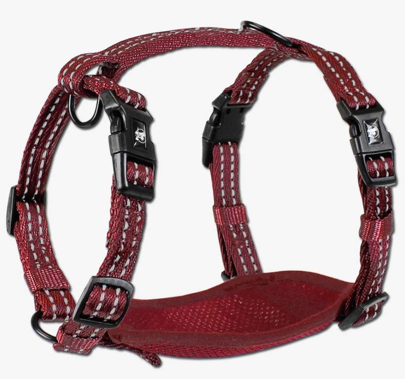 Adventure Harnesses - Dog Harness Png, transparent png download