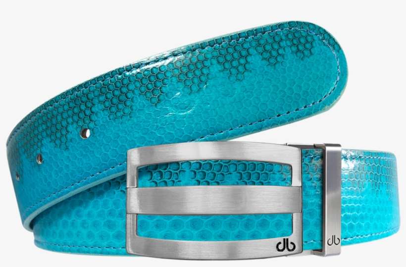 Belt, transparent png download