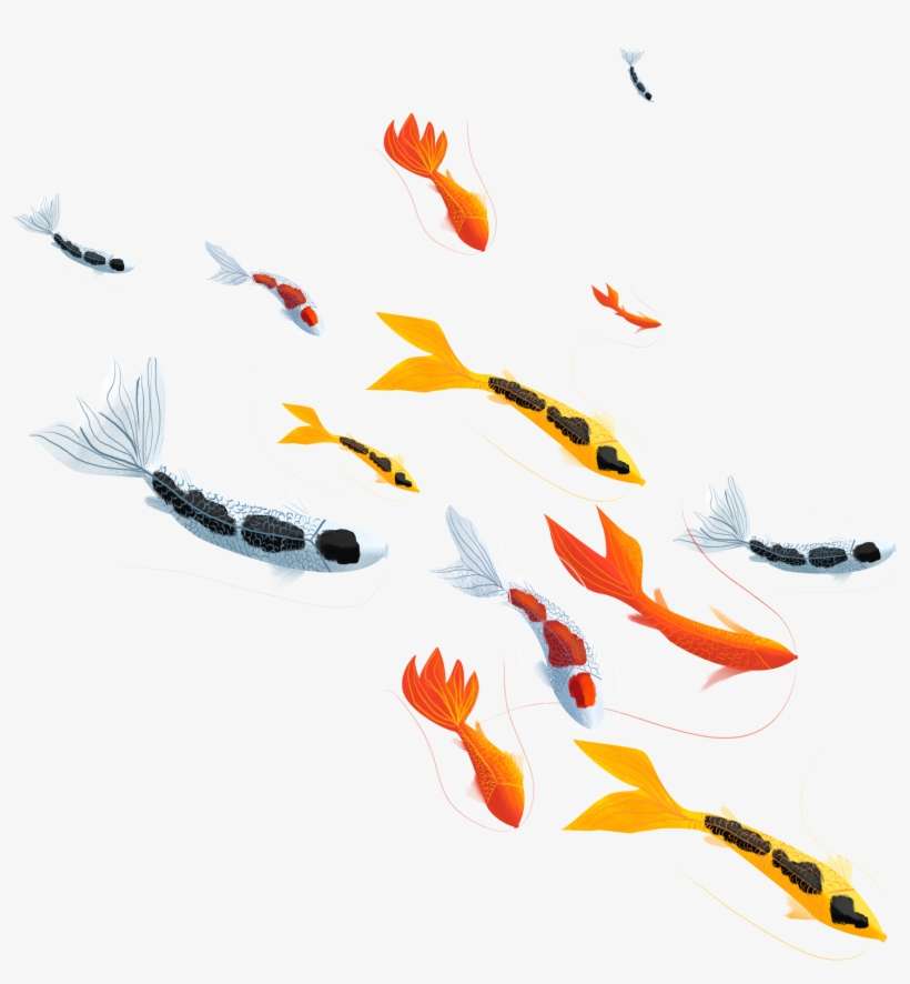 Chinese Style Illustration Hand Drawn Lucky Koi Png - Illustration, transparent png download