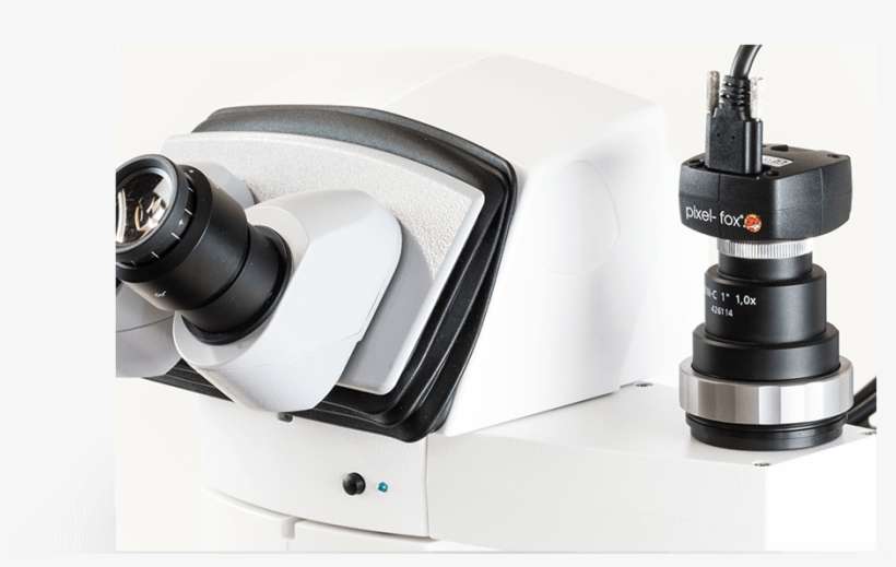 Pixel-fox Video Eyepiece - Canon Ef 75-300mm F/4-5.6 Iii, transparent png download