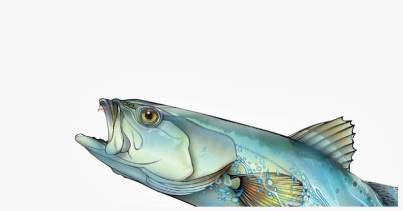 Img Img - Underwater, transparent png download