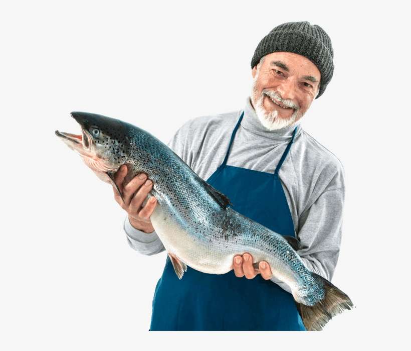 Global Fish Group In All Sites Of Brazil - Holding A Salmon Suspiciously, transparent png download