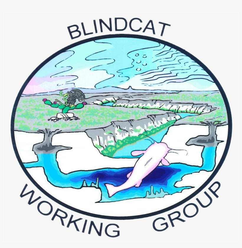 Blindcat Working Group Logo - Us District Court New York, transparent png download