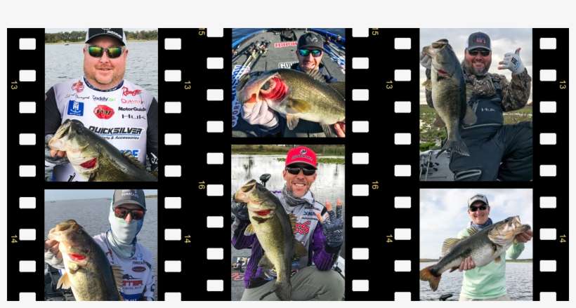 Competion Groups For Lake Conroe Will Flip-flop Group - Photography, transparent png download