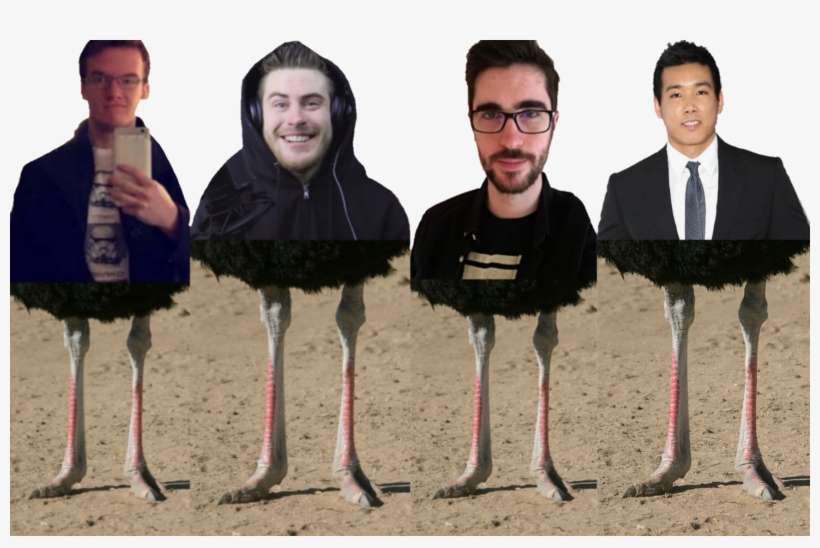 Photoshop Wizi Was Very Bored - Ostrich Legs, transparent png download