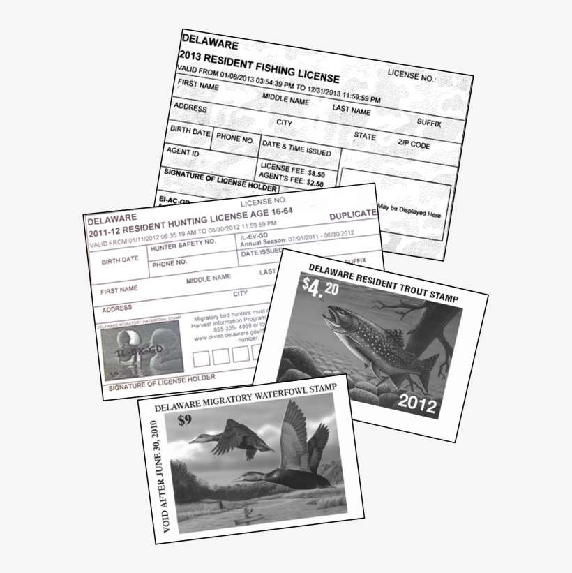 Division Of Fish & Wildlife - Delaware Fishing License 2018, transparent png download