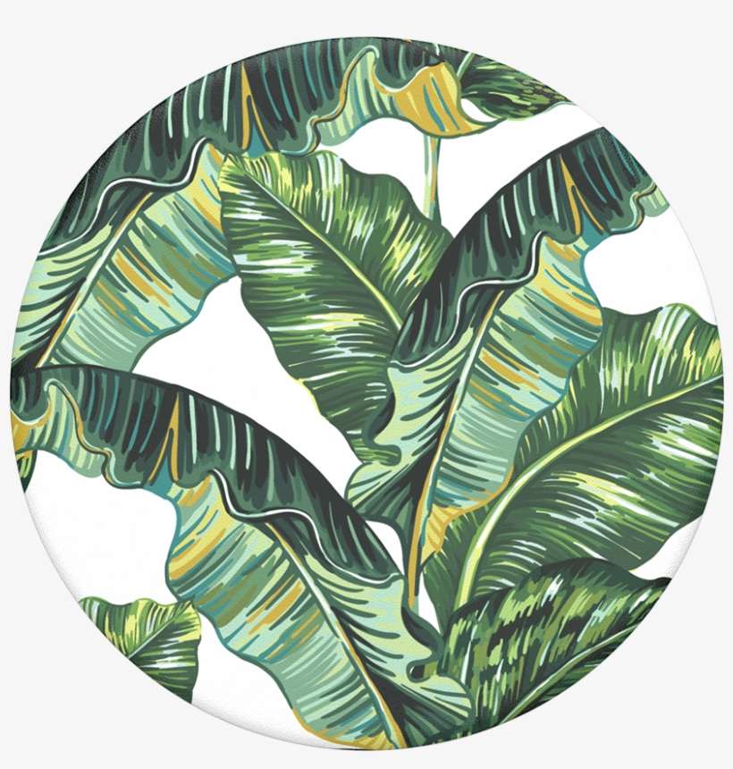 Banana Republican, Popsockets - Banana Republican Popsocket, transparent png download