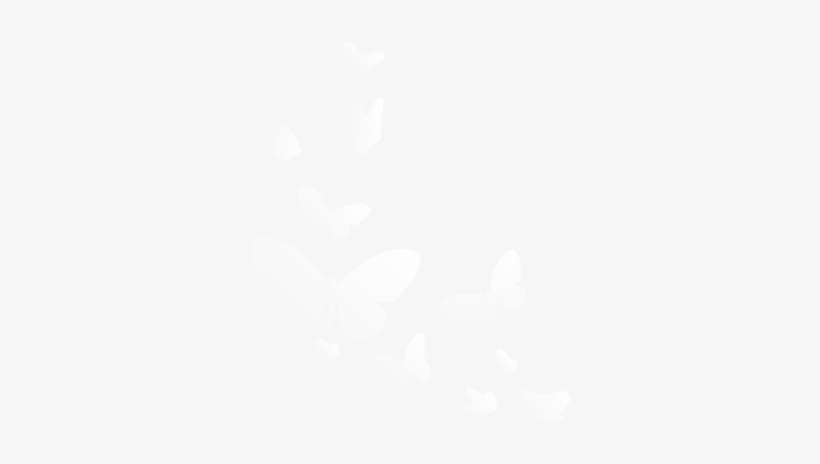 Maolin Purple Butterfly Valley Biennial Butterfly Beauty - Johns Hopkins Logo White, transparent png download