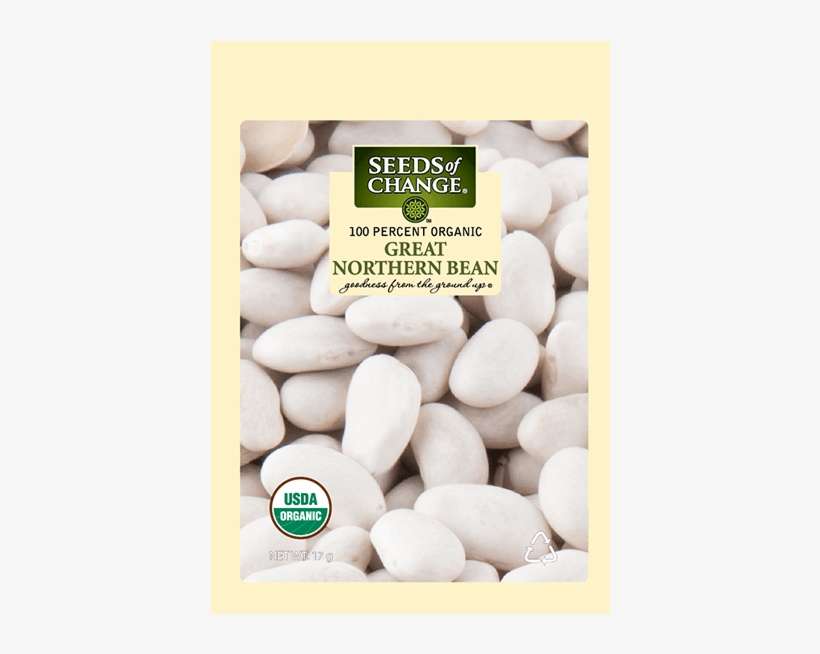 Organic Great Northern Dry Soup Bean Seeds - Northern Beans, transparent png download