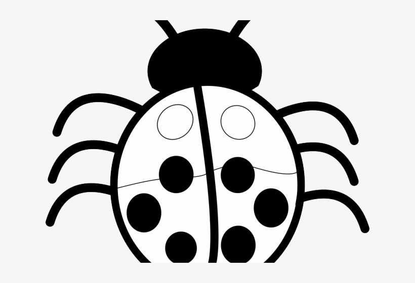 White Flower Clipart Top View - Clip Art Black And White Bug, transparent png download