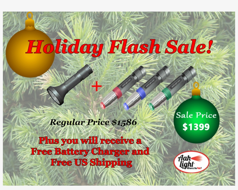 Holiday Flash Sale Pbm And Three Lights - Christmas Tree, transparent png download