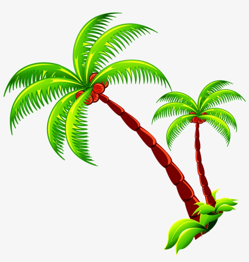 Coconut Tree Branch Free Photo Png Clipart - Coconunt Tree Png, transparent png download