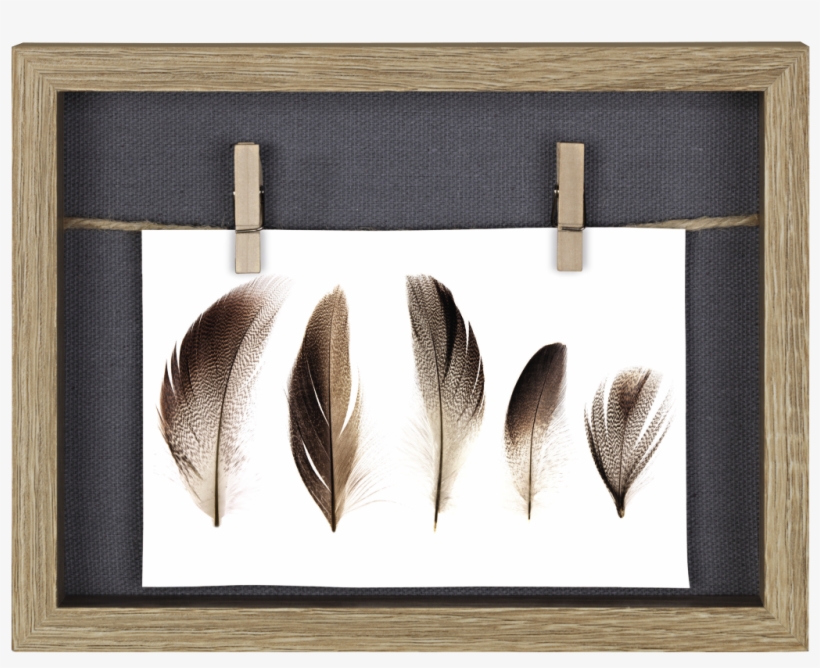 "cavo" Portrait Frame Gallery, Oak, - Picture Frame, transparent png download