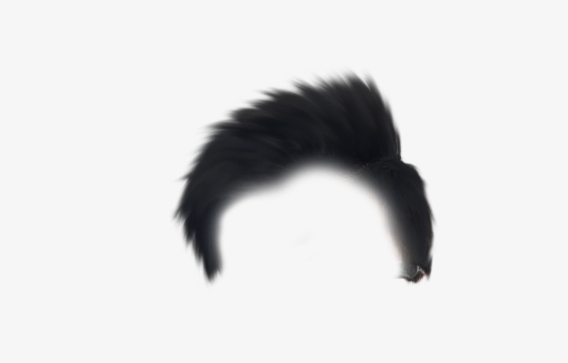 15th August Hair Png 15th August Editing Png - Insect, transparent png download