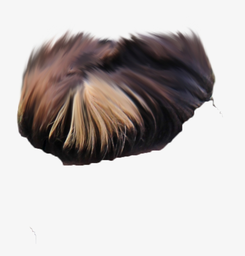 Hair Png ➤ Download - Lace Wig, transparent png download