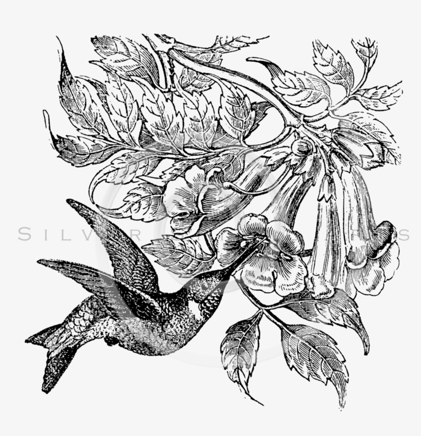 Flower Black And White Png Vintage, transparent png download