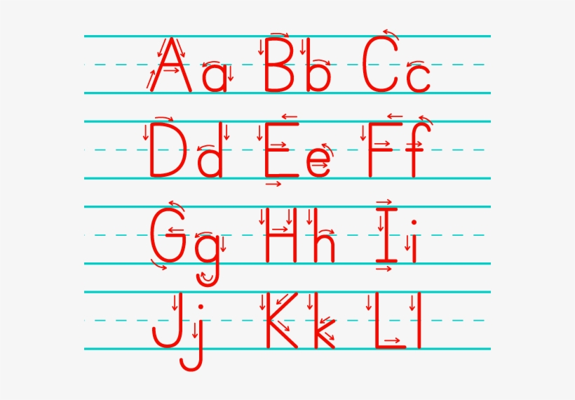 Holidays - Number, transparent png download