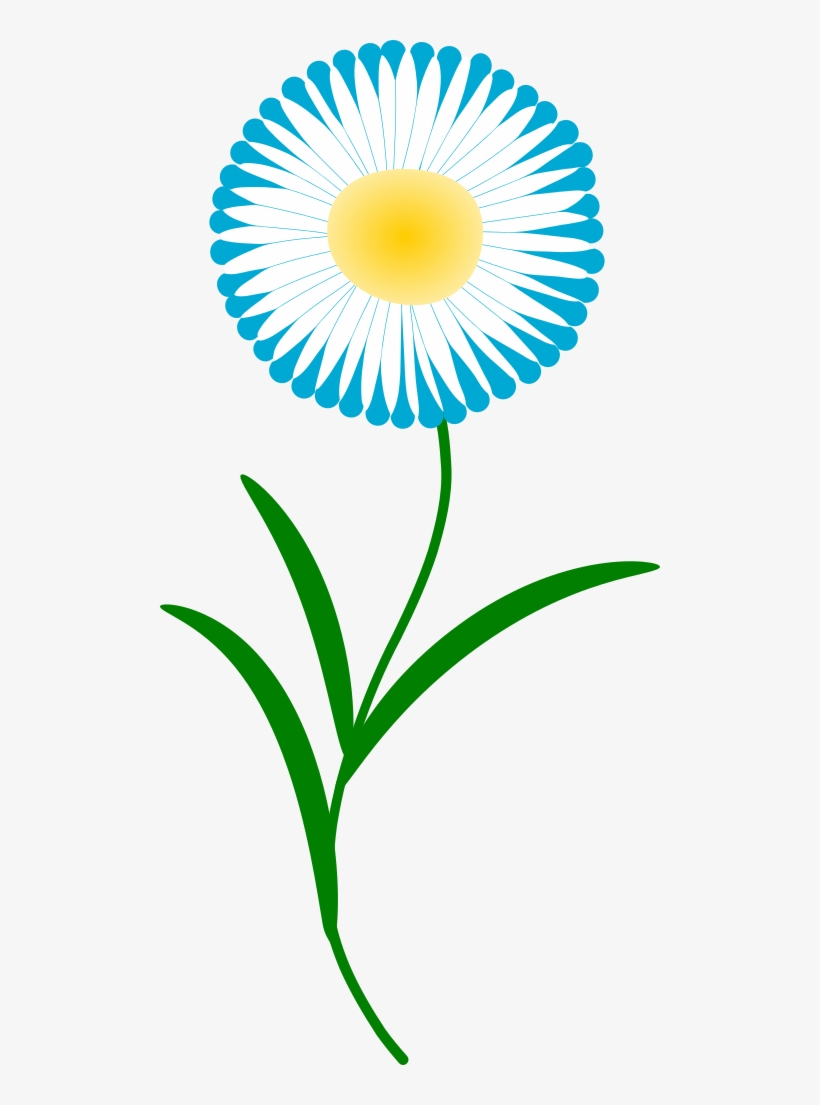 Keywords - Flower - Gift - Nature - Download File Flower - Oil In Water Emulsion, transparent png download