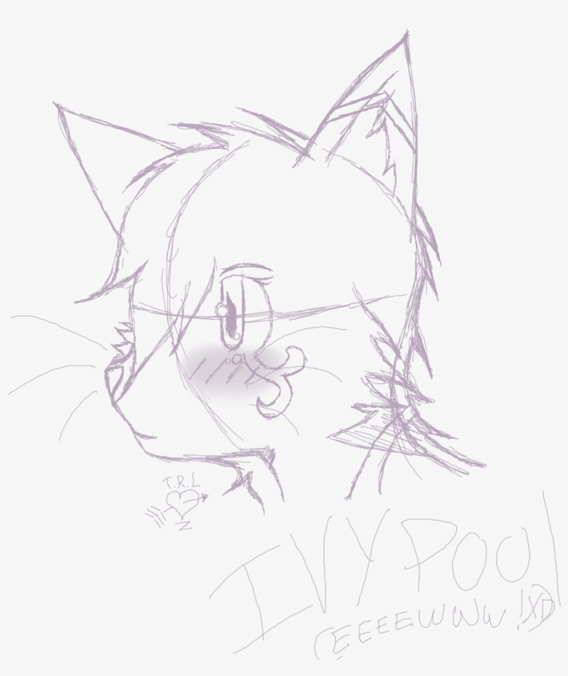 Ivypool - Sketch, transparent png download
