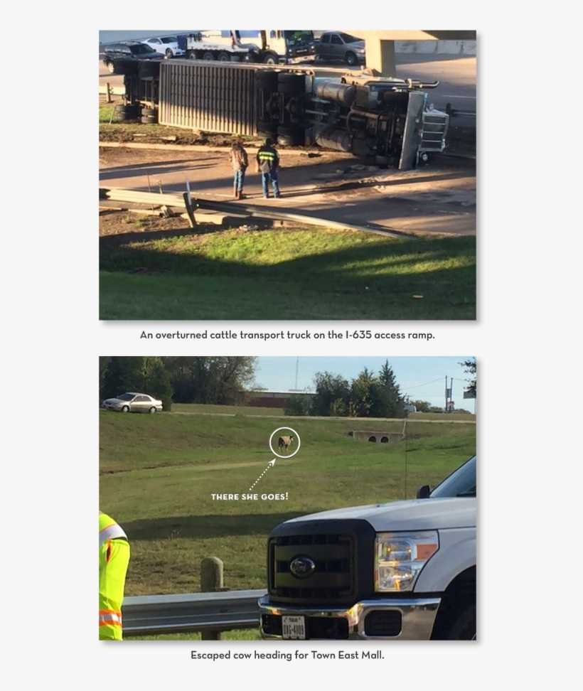 Just In Time For Sam & Marcy's Annual Untraditional - Infiniti, transparent png download