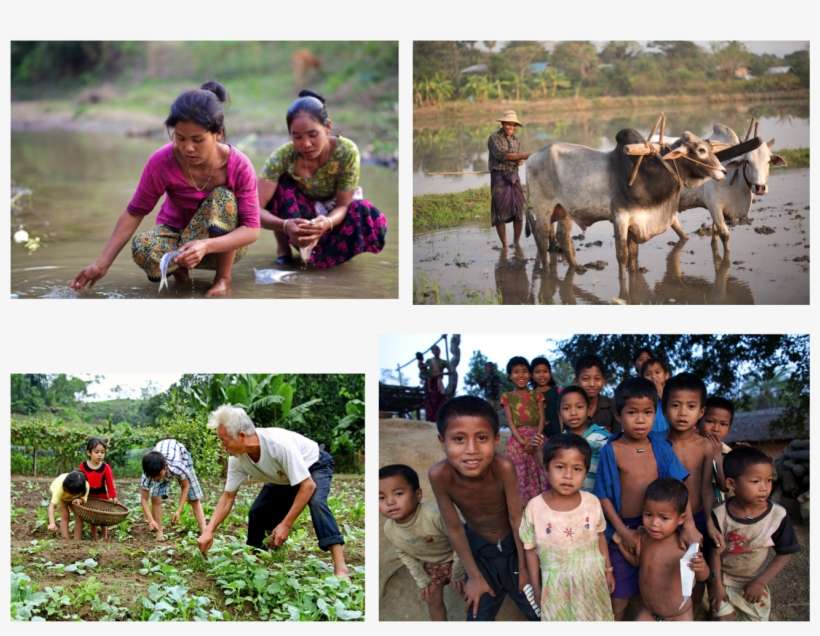 Essentials Montage - Field, transparent png download