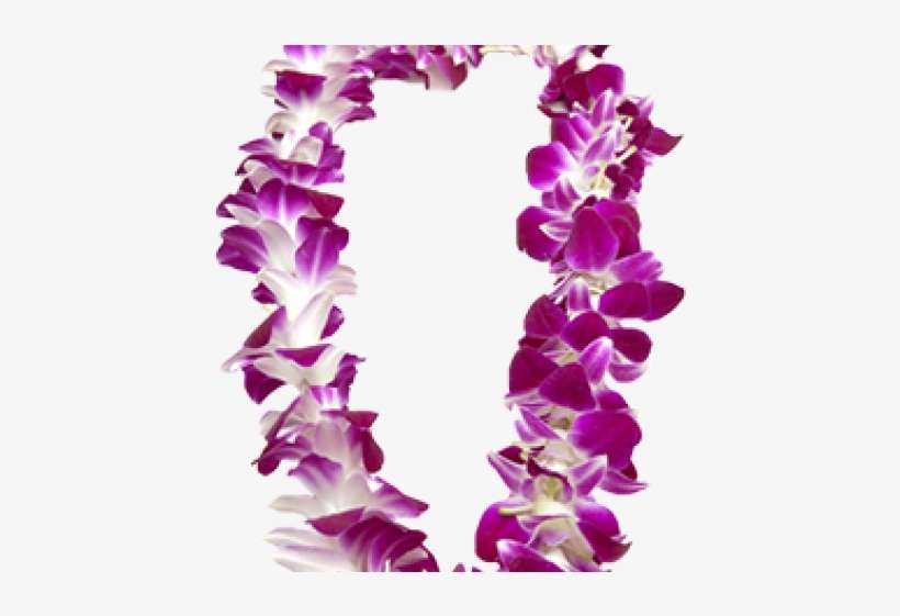 Orchid Garland, transparent png download
