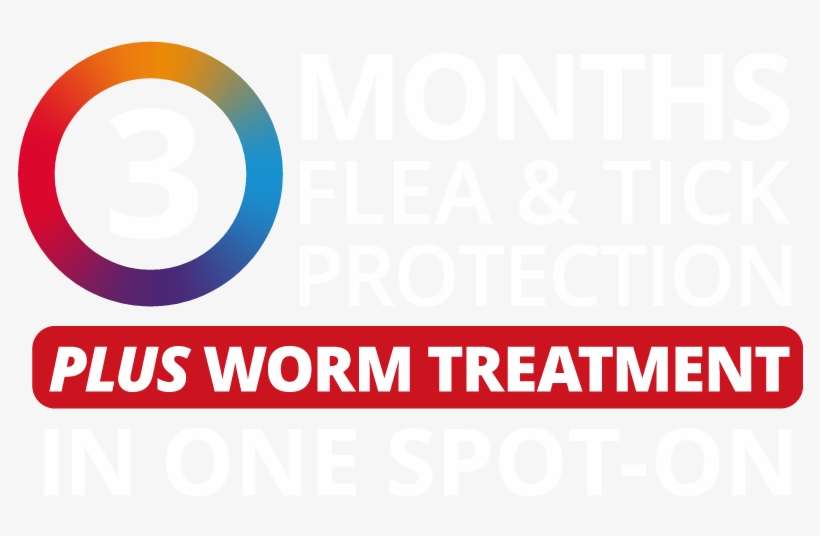 Bravecto 3 Month Flea & Tick Protection - Circle, transparent png download