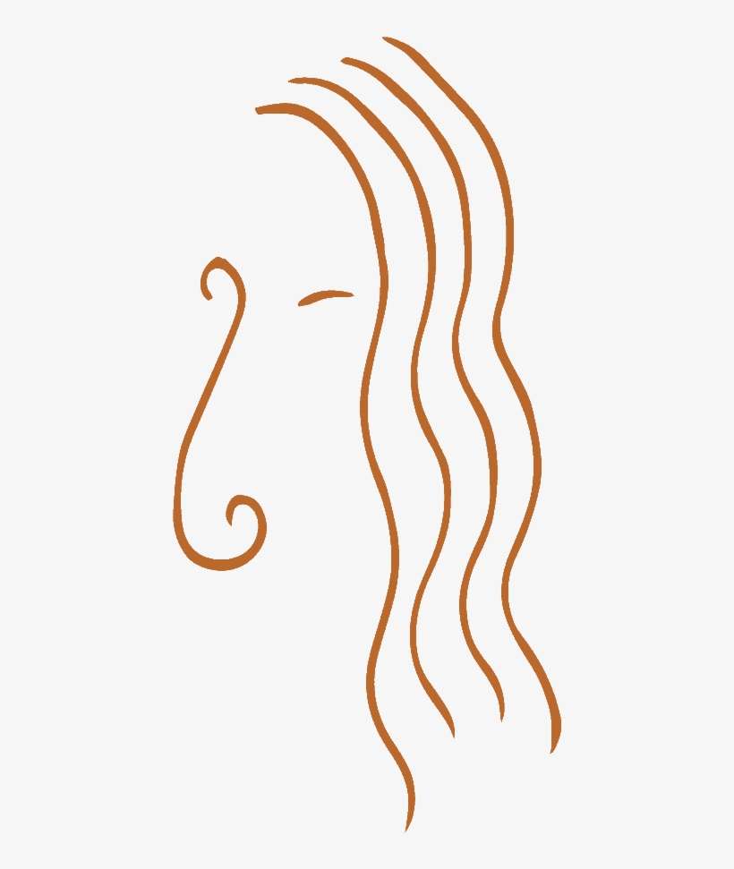 Michael Greilsammer, transparent png download