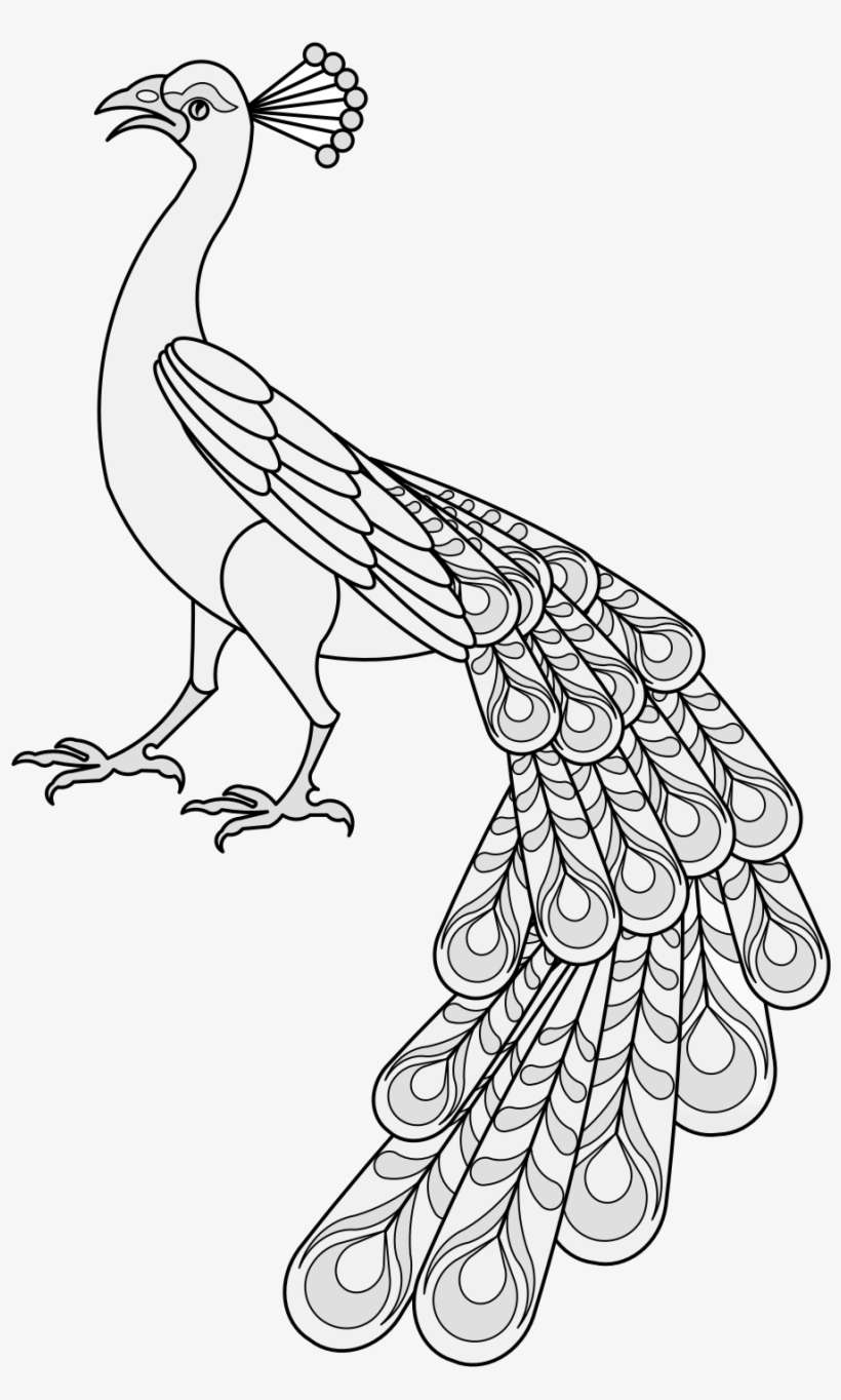 Details, Png - Line Art, transparent png download