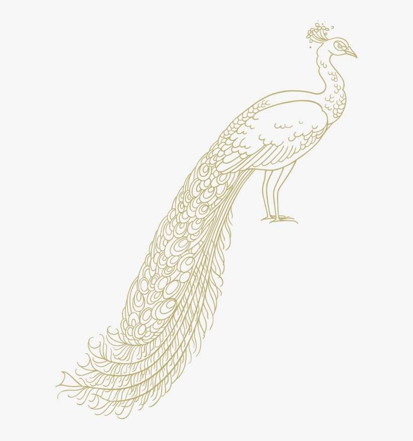 Peacock - Peafowl, transparent png download