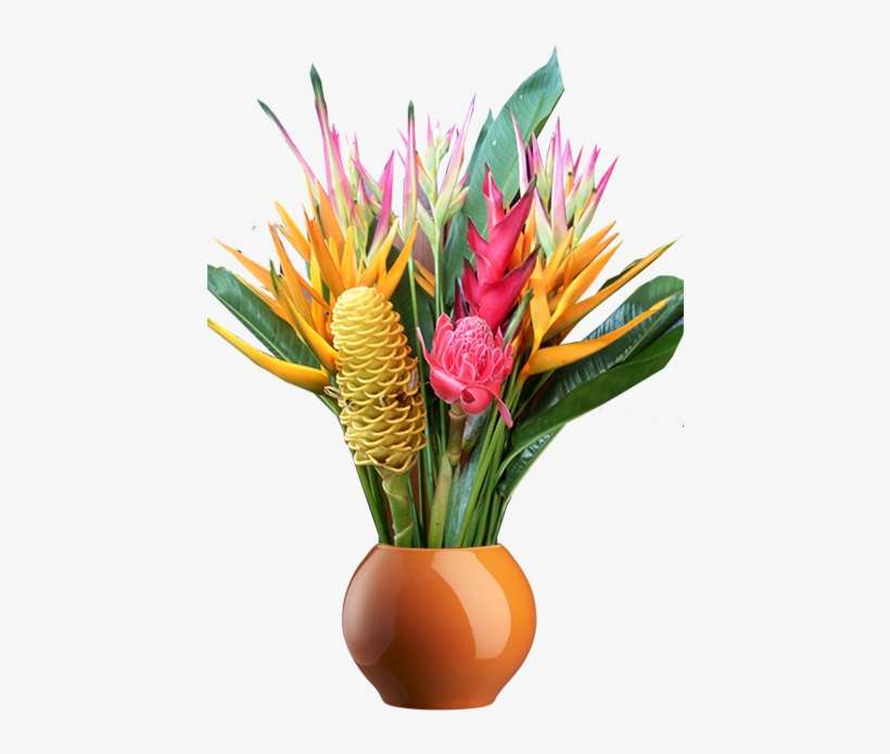 Large - Protea, transparent png download