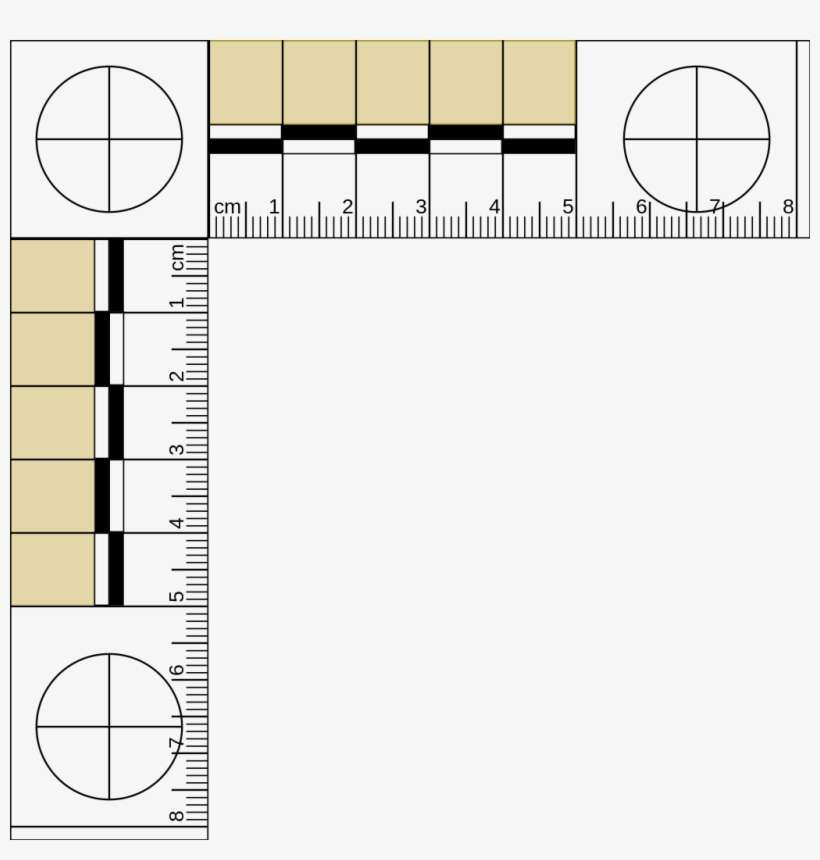 Source - Upload - Wikimedia - Org - Report - Ruler - Transparent Sans Blue Eye, transparent png download